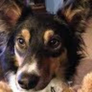 Meet your Posher, Corinne